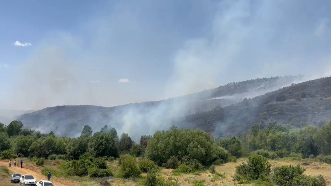 Elazığ'da orman yangını 19